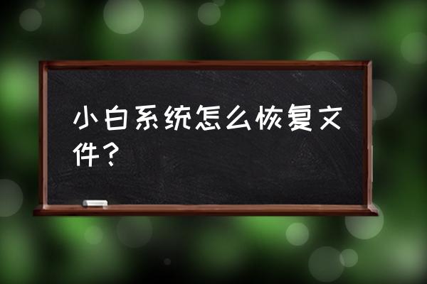 怎样用万能数据大师恢复数据 小白系统怎么恢复文件？