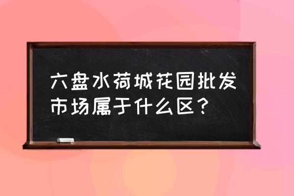 六盘水化工市场在哪里 六盘水荷城花园批发市场属于什么区？