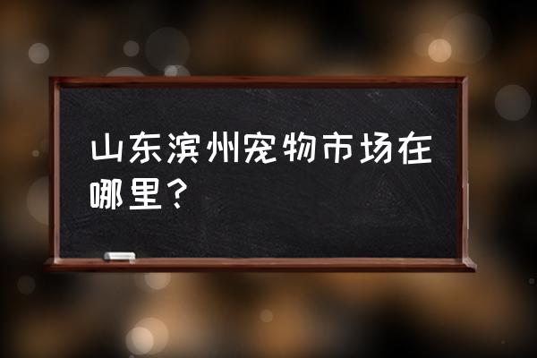 滨州狗粮批发市场在哪里 山东滨州宠物市场在哪里？