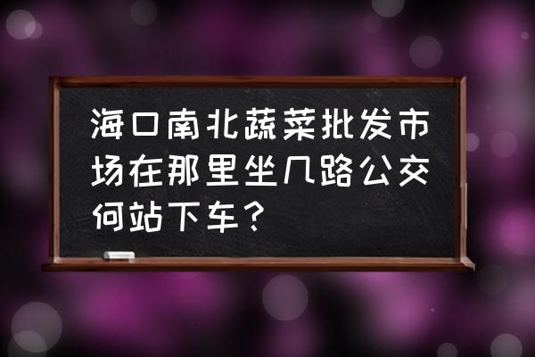 海口有几个蔬菜批发 海口南北蔬菜批发市场在那里坐几路公交何站下车？