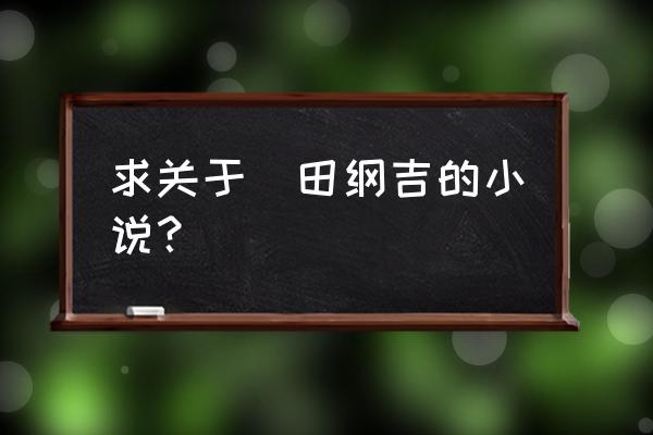 沢田纲吉300英雄 求关于沢田纲吉的小说？