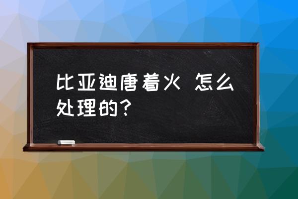 发动机着火应先如何处置 比亚迪唐着火 怎么处理的？