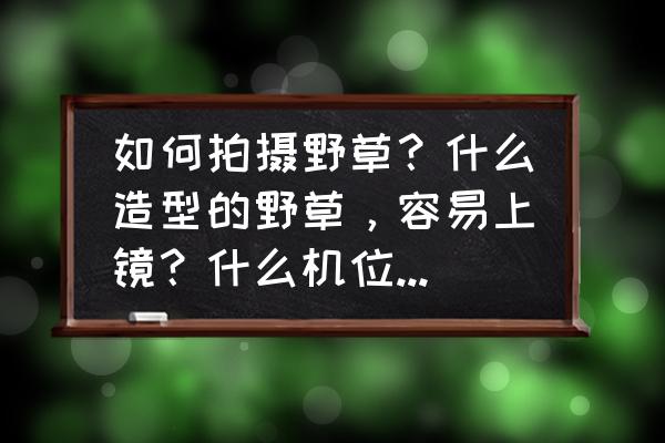 ps怎么画水塘 如何拍摄野草？什么造型的野草，容易上镜？什么机位，适合拍野草？怎样配色？怎么构图？