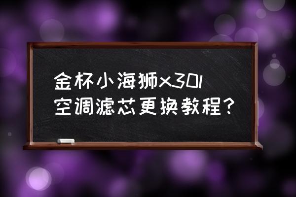 小海狮x30l最低配仪表时间怎么调 金杯小海狮x30l空调滤芯更换教程？