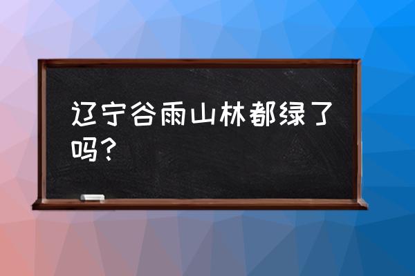 五一辽宁省内自驾游最佳去处 辽宁谷雨山林都绿了吗？