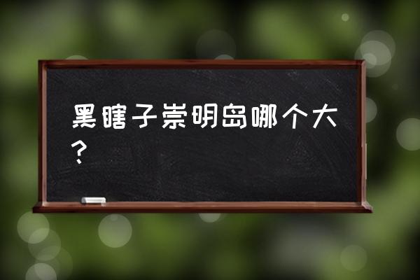 黑瞎子岛是怎么去的 黑瞎子崇明岛哪个大？