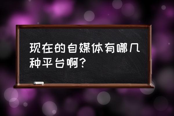 儿童运动健康管理平台 现在的自媒体有哪几种平台啊？