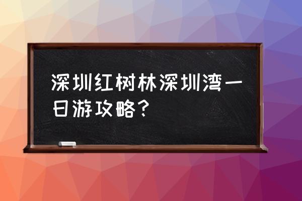 美国东海岸旅游详细攻略图 深圳红树林深圳湾一日游攻略？