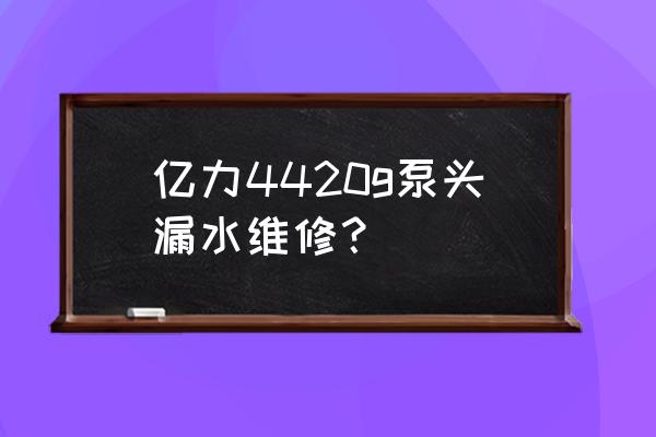 泵的维护保养与维修 亿力4420g泵头漏水维修？