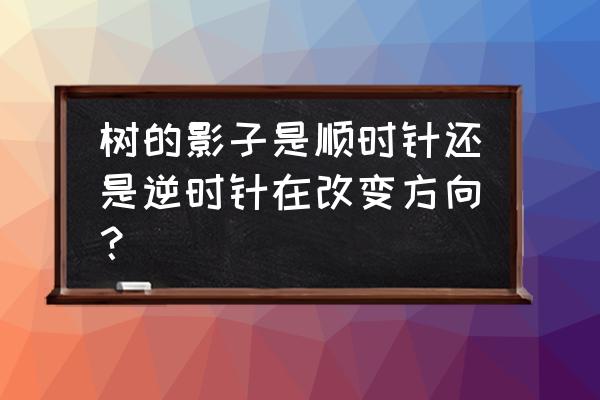 中午十二点大树的影子在哪个方向 树的影子是顺时针还是逆时针在改变方向？