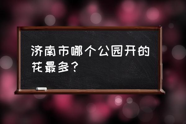 泉城公园有什么好去处 济南市哪个公园开的花最多？