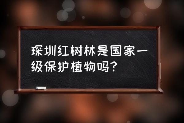 中国一半以上红树林获有效保护 琛圳红树林是国家一级保护植物吗？