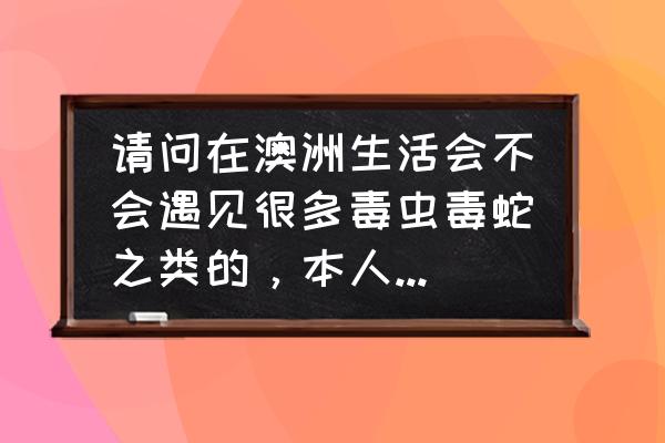 露营最怕什么 请问在澳洲生活会不会遇见很多毒虫毒蛇之类的，本人最怕这些东西，但未来会去昆士兰布里斯班上学？