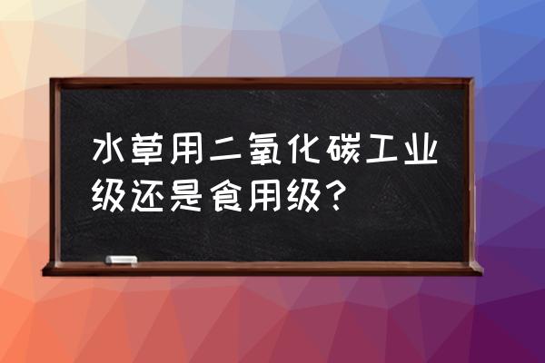 绿菊怎么养才能长得快又茂盛 水草用二氧化碳工业级还是食用级？