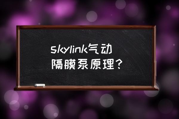 气动隔膜泵生产厂家 skylink气动隔膜泵原理？