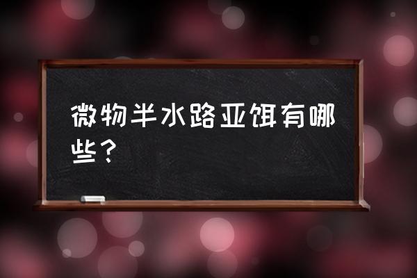 路亚拟饵种类和功能 微物半水路亚饵有哪些？