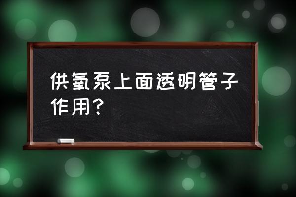 鱼缸氧气泵白色管子放哪里 供氧泵上面透明管子作用？