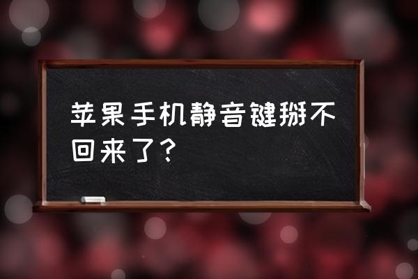 苹果8侧面上下掰的按钮在哪里设置 苹果手机静音键掰不回来了？