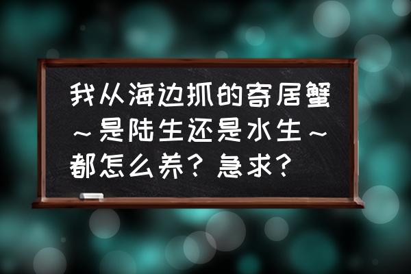 寄居蟹是海水还是淡水生物 我从海边抓的寄居蟹～是陆生还是水生～都怎么养？急求？