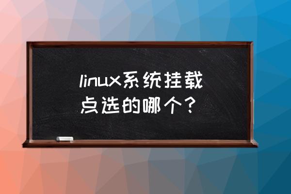 查看分区使用相应的挂载目录 linux系统挂载点选的哪个？