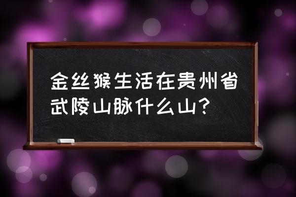 云南滇金丝猴旅游攻略 金丝猴生活在贵州省武陵山脉什么山？