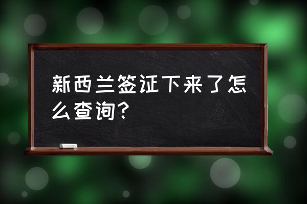 美国旅游签证进度查询系统官网 新西兰签证下来了怎么查询？