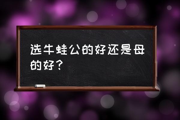 青蛙分公母的最佳方法 选牛蛙公的好还是母的好？