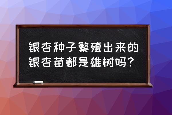 银杏雌雄株怎么分别 银杏种子繁殖出来的银杏苗都是雄树吗？