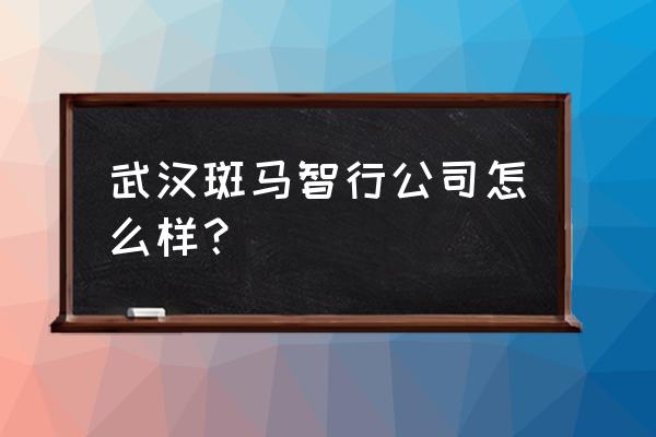 斑马智行保养复位账号 武汉斑马智行公司怎么样？