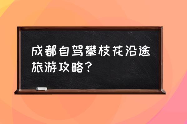 四川蒙顶山一日游攻略 成都自驾攀枝花沿途旅游攻略？