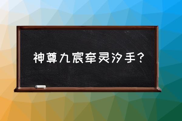 英灵之战怎么召唤英雄 神尊九宸牵灵汐手？