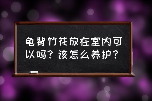 迷你世界怎么再创一个号最新版 龟背竹花放在室内可以吗？该怎么养护？