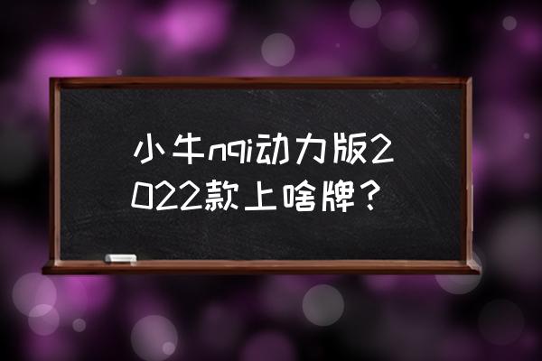 FM2022怎么培养小牛 小牛nqi动力版2022款上啥牌？