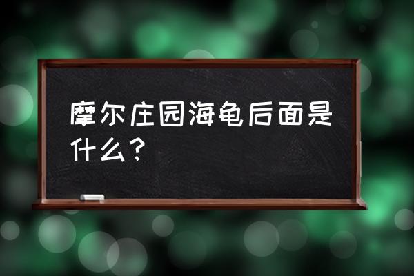 摩尔庄园手游冰川虾怎么得 摩尔庄园海龟后面是什么？