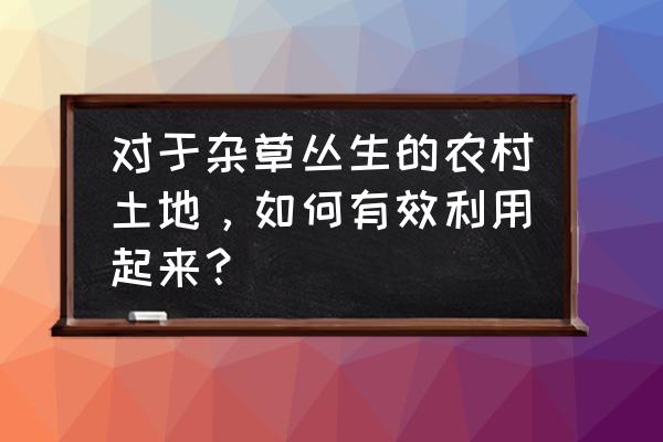 园林植物树木简笔画 对于杂草丛生的农村土地，如何有效利用起来？