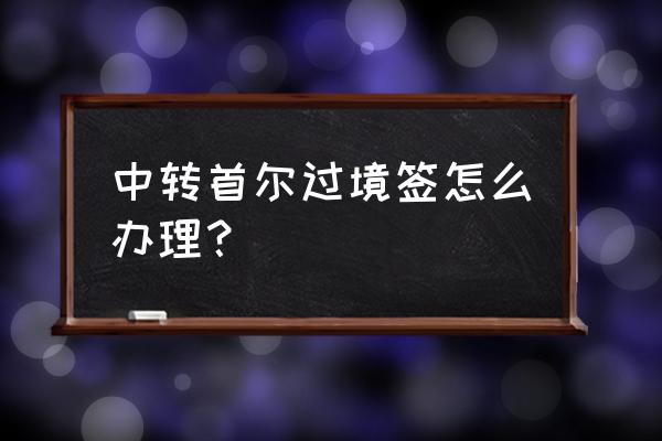 现在能办理去韩国的旅游签证么 中转首尔过境签怎么办理？