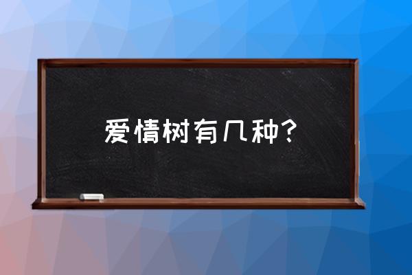 木棉和玉兰花的长相 爱情树有几种？