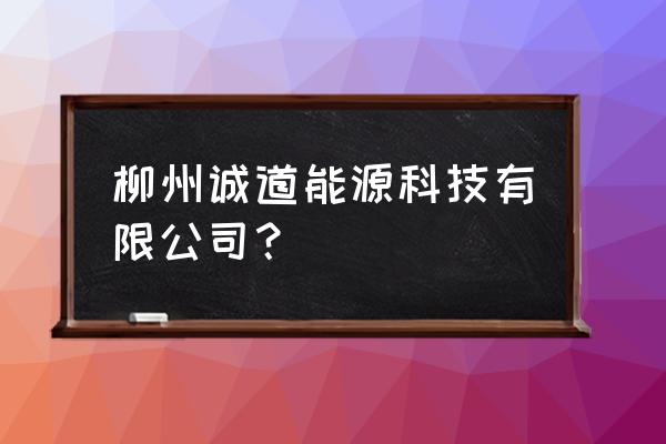 汽车电瓶装卸顺序 柳州诚道能源科技有限公司？