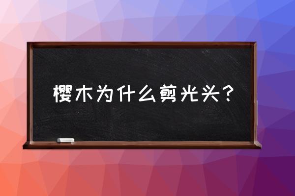 天才樱木来了怎么退出联盟 樱木为什么剪光头？