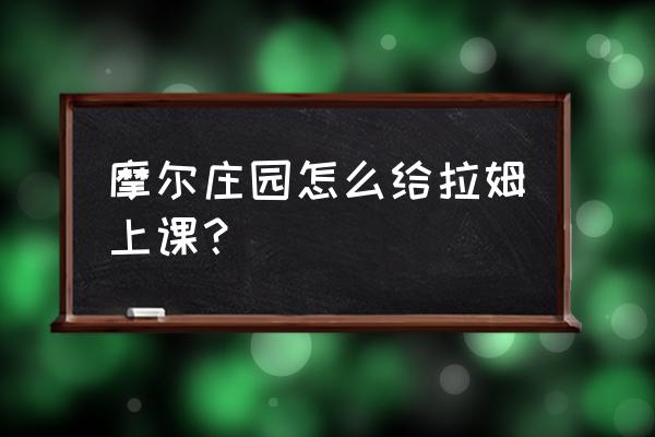 摩尔庄园如何与拉姆玩耍 摩尔庄园怎么给拉姆上课？