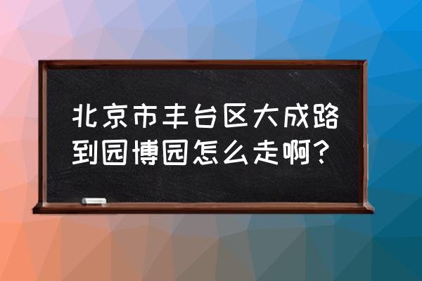 游北京世界园博会攻略 北京市丰台区大成路到园博园怎么走啊？