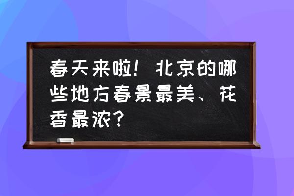 春天去北京哪里赏花好看又好玩 春天来啦！北京的哪些地方春景最美、花香最浓？