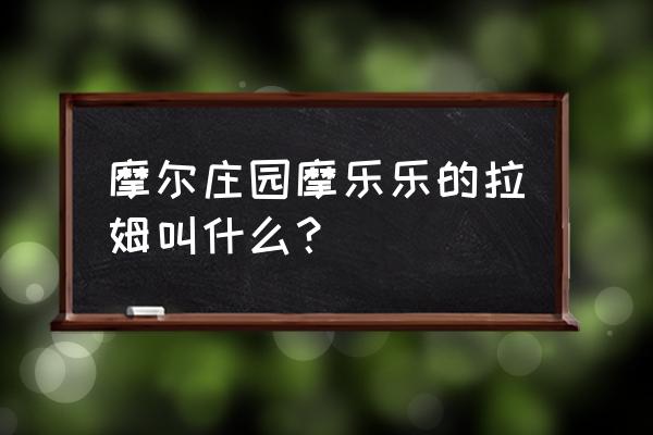 摩尔庄园怎样领取拉姆工资 摩尔庄园摩乐乐的拉姆叫什么？