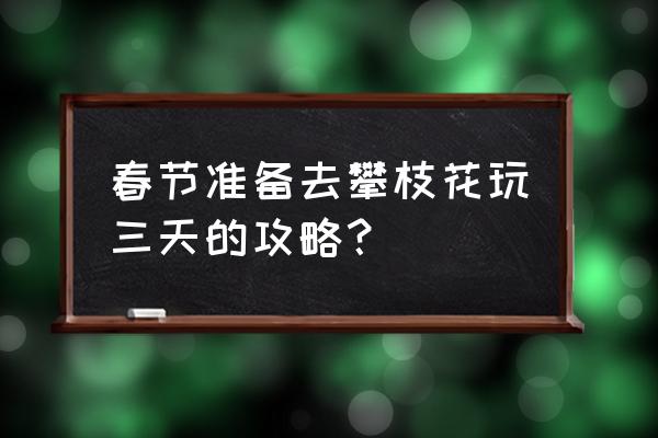 去成都玩的攻略怎么做 春节准备去攀枝花玩三天的攻略？