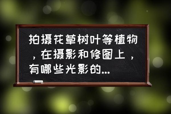 100个光影摄影技巧 拍摄花草树叶等植物，在摄影和修图上，有哪些光影的技巧可用？