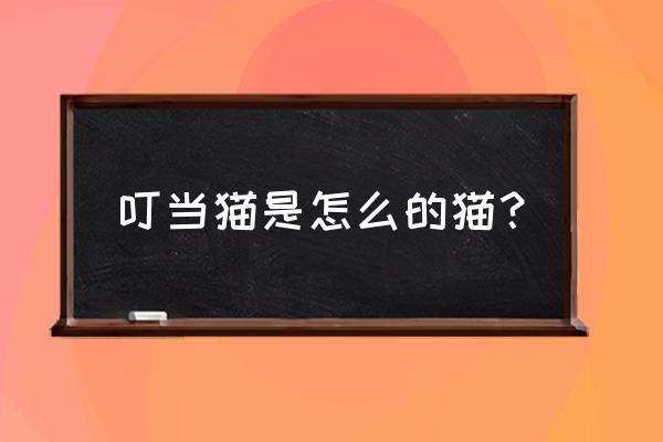 叮当猫的制作全过程 叮当猫是怎么的猫？