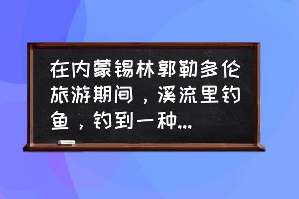 内蒙古多伦现在去旅游风景好吗 在内蒙锡林郭勒多伦旅游期间，溪流里钓鱼，钓到一种无鳞的鱼，长度十几厘米，请问光大网友，这鱼叫什么？