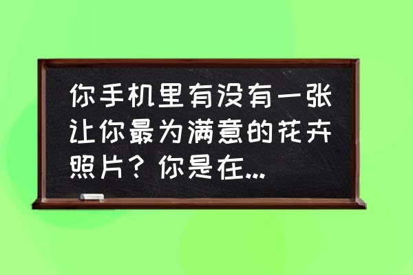 格桑花拍摄的正确方法 你手机里有没有一张让你最为满意的花卉照片？你是在什么情况下拍的？