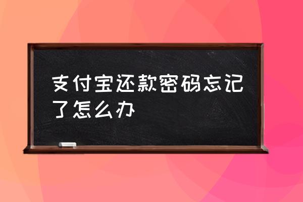 支付宝支付密码忘记怎么重新设置 支付宝还款密码忘记了怎么办