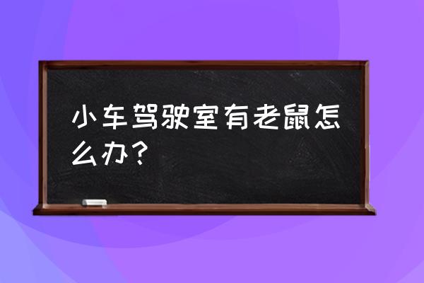 汽车内有老鼠怎么处理 小车驾驶室有老鼠怎么办？